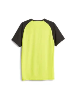 Koszulka męska Puma Fit Triblend Ultrabreathe